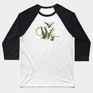 Land of Oz Baseball T-Shirt